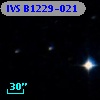 IVS B1229-021