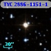 TYC 2886-1151-1