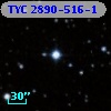TYC 2890-516-1