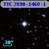 TYC 2890-1460-1