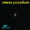 2MASX J12310530-0533402