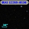 IRAS 12289-0530
