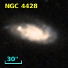NGC  4428