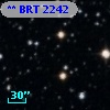 ** BRT  2242