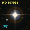 HD 107955