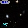 IRAS F12309-1019