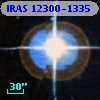 IRAS 12300-1335