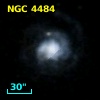 NGC  4484