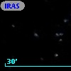 IRAS F12301-1311