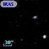 IRAS F12310-1320