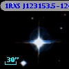1RXS J123153.5-124022