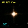 V* UY Crv