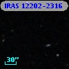 IRAS 12202-2316