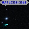 IRAS 12233-2319