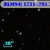 [RLM94] 1231-293 3