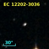 2MASS J12225426-3052382
