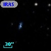 IRAS F12252-3119