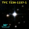 TYC 7234-1157-1