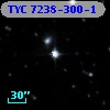 TYC 7238-300-1