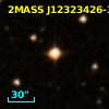 2MASS J12323426-3132259
