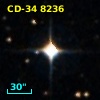 CD-34  8236