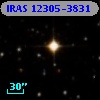 IRAS 12305-3831