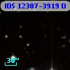 IDS 12307-3919 D