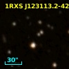 1RXS J123113.2-423524
