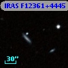 IRAS F12361+4445
