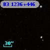 B3 1236+446
