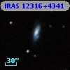IRAS 12316+4341