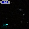 IRAS F12316+4303