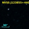 NVSS J123855+440840