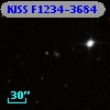 KISS F1234-3684