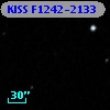 KISS F1242-2133