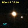 BD+42  2329