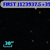 FIRST J123937.5+393225
