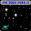 TYC 3561-1181-1