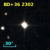 BD+36  2302