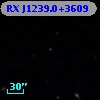 RX J1239.0+3609