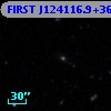 FIRST J124116.9+360336