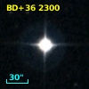 BD+36  2300