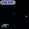 CSO  917