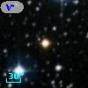 V* V394 Cyg