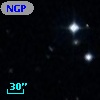 NGP9 F268-1015863