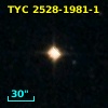TYC 2528-1981-1