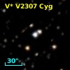 V* V2307 Cyg