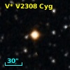 V* V2308 Cyg