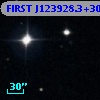 FIRST J123928.3+305952
