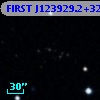 FIRST J123929.2+325512